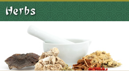Herbs